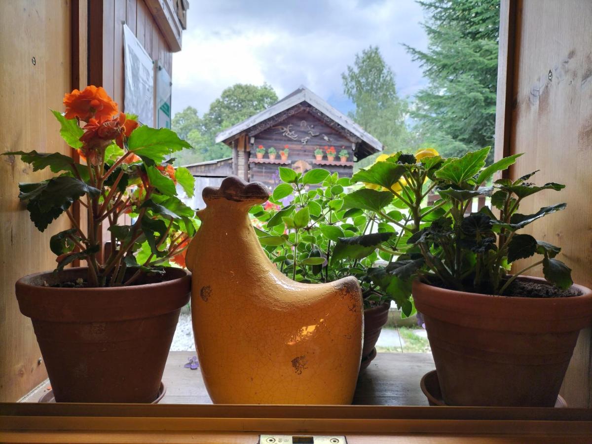 Le Montagny Hotel Les Houches Exterior photo